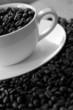 Coffee 01