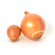 Big and small onions with peel isolated on white background