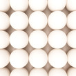 Sphers (egg)