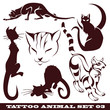 templates cats for tattoo and design on different topics