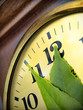Last Minutes