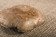 Portabello Mushroom