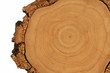 Holz-Struktur: Baumscheibe mit dicker Borke