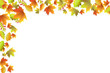 autumn background