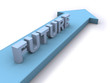 Future direction Future direction
