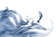 sea fish jumping out of the water sea fish jumping out of the water