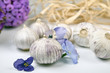 Foto: Chinesischer Knollenknoblauch ( Monobulbo) Chinesischer Knollenknoblauch ( Monobulbo)