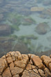Rock ledge overlooking calm, clear, seawater