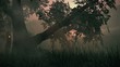 Fairy Lights Fireflies Summer Meadow Magical Fantasy LOOP Fairy Lights Fireflies Summer Meadow Magical Fantasy LOOP