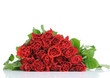 Roses bouquet isolates on white background
