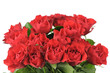 Roses bouquet isolated on white background