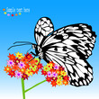 butterfly on a flower. vector illustration butterfly on a flower. vector illustration