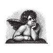 Raphael's Sistine Madonna Love Cherub, vectorized engraving