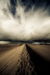 Photos : Desert