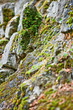 old stone with lichen