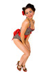Pin-up 4