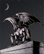 Gargoyle at night