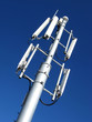 GSM Antenna