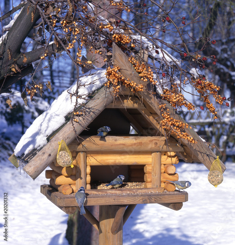 Photo: Vogelhaus_113379 Vogelhaus_113379