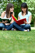 Students at the park