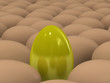 Special egg Special egg