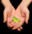 Mains et Protection Nature