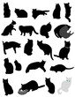 silhouette cats silhouette cats