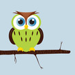 owl