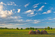 hay stacks on field