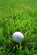 Photo: golf ball golf ball