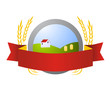 pasta rice or wheat farm logo vector