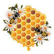 Floral Honey Concept Floral Honey Concept