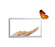 Frame with finger touching butterfly