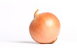 onion