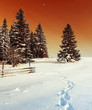 Trees