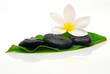 wet spa stones on leaf