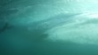 surfer in the tube under water