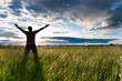 feel freedom