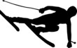 Skifahrer