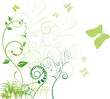 Flower background with bud, element for design, vector illustrat