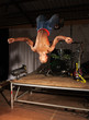 Freestyle hip-hop dancer