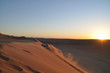 Offroad in the desert 4