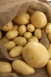 Foto: Kartoffeln im Sack Kartoffeln im Sack