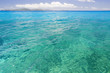 Ocean