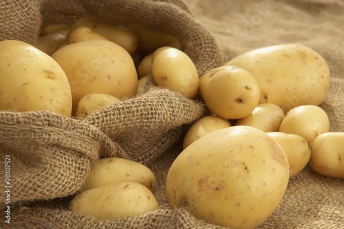Foto: Kartoffeln im Sack Kartoffeln im Sack