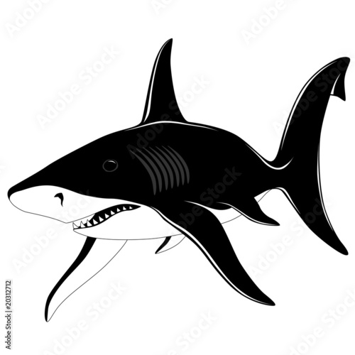 shark tattoo. Shark, tattoo