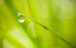 water drop