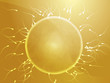 Egg fertilization illustration