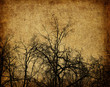 Aged paper with tree texture