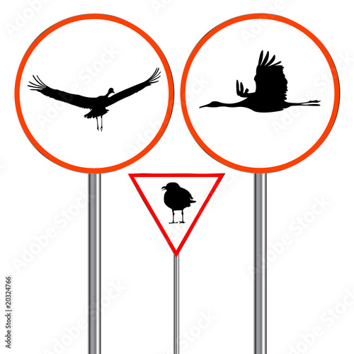 birds traffic sign birds traffic sign